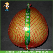 Fruit frais Pomelo frais de haute qualité - Jining Rich Farmer International Trade Co., Ltd